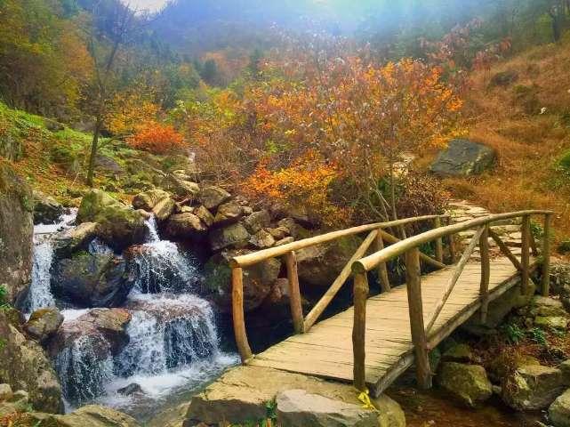 解惑交流,